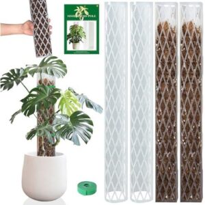 4件套 透明塑料苔藓柱,适用于攀爬植物 50%OFF