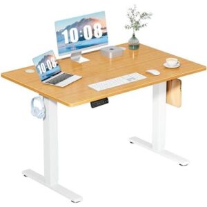 DUMOS/48寸可调记忆电动书桌 36%OFF