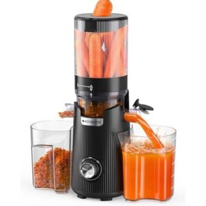 冷压榨汁机/5.3寸宽槽2杯装 70%OFF