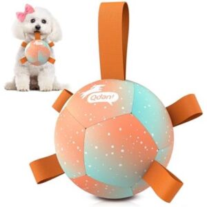 QDAN/5寸带绳小型犬训练球套装 50%OFF