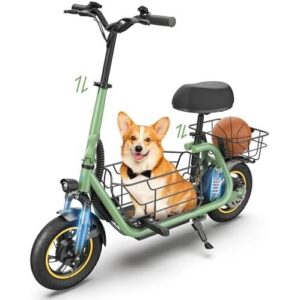 成人电动滑板车C1Pro 50%OFF