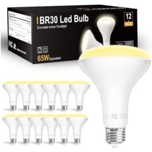 12只LED射灯(可调光/800流明) 45%OFF