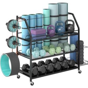 Weight Rack/4轮双面哑铃收纳架 56%OFF