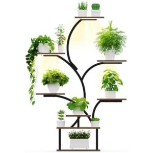 8层(带LED补光金属花架) 50%OFF