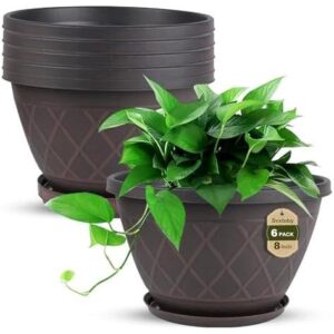 6 个 8 寸花盆，带排水孔托盘，仿钻纹塑料花盆 50%OFF