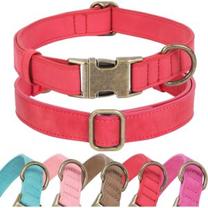 重型犬项圈  -73%