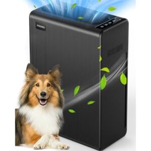 E-300L/H13滤网大空间空气净化器 50%OFF