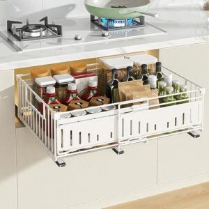 Under Sink/1个金属可扩抽屉柜架 50%OFF