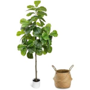 Artificial Fig Tree/6FT仿琴叶榕1盆装 58%OFF