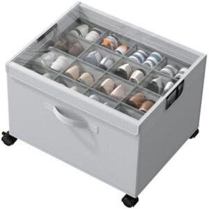 HOUSE AGAIN Shoe Organizer for Closet 40%OFF