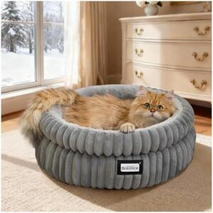 BALANCE Cat Bed Kitten Bed 41%OFF