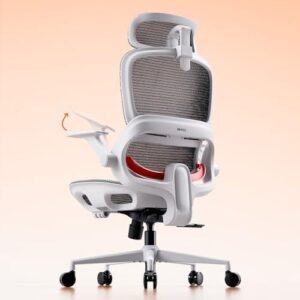 灰色人体工学办公椅（自适应腰托） 50%OFF