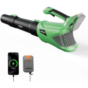 20V锂电(轻便/高效)手持吹叶机 50%OFF
