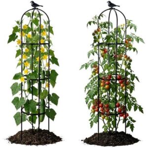 2 套花园方尖碑式攀爬植物架34%OFF