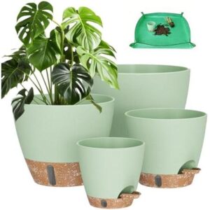 5件套(自吸水/带水位/排水孔)花盆 50%OFF