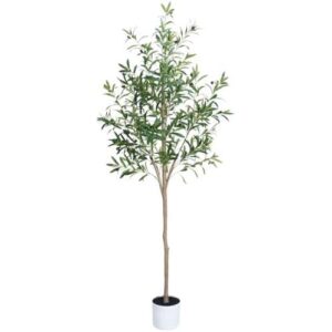 单株装(6英尺/仿真橄榄盆栽树) 60%OFF