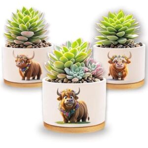 高地牛牌室内植物种植盆 - 1350°C 高温烧制的优质陶瓷多肉植物种植盆，3 件套 39%OFF