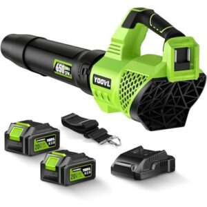 无线(650CFM电动吹叶机/双电速调) 64%OFF