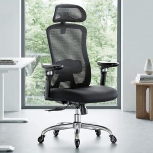 人体工学办公椅(6D扶手/3D头枕/1个装) 50%OFF
