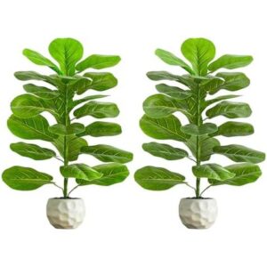 双株盆栽(2.5英尺/仿真琴叶榕带石) 56%OFF