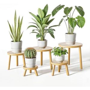 木质(五件套高脚单株植物架) 50%OFF