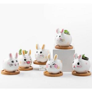 陶瓷3.6寸(迷你多肉盆+竹托) 46%OFF