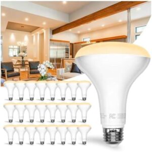 DAYBETTER BR30 LED 灯泡 50%OFF