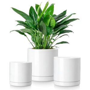 白色陶瓷室内花盆 65%OFF
