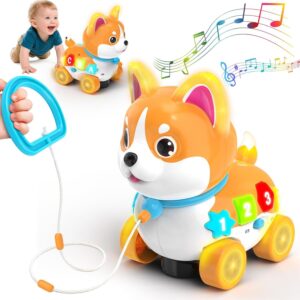 6-12-18个月婴儿玩具，3合1音乐幼犬玩具-69%