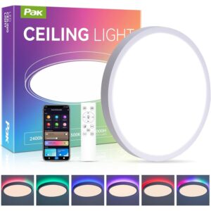 12英寸智能吊灯，RGB+IC LED嵌入式灯具，2400LM可调光，APP和遥控 -50%