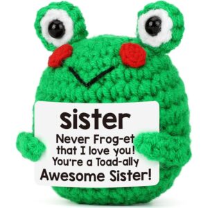 LEJIAJINW Sister Birthday Gifts, Sisters Gift from Sist-er Brother, Soul Sister' Friend Gifts for Women Girls Presents, Funny Gift for Women Teen Girls, Mini Positive Frog Crochet Animals -50%