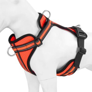 Wisedog反光无拉狗背带-50%