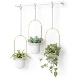 悬挂花盆(3件/透气可吊挂) 50%OFF