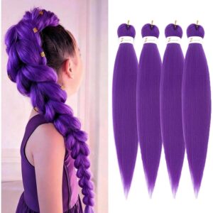 Purple Braiding Hair Pre Stretched 22Inch 90g/Pack Synthetic Hair Extensions for Braids Long Straight Crochet Hair for Stage Party Halloween Costume Cosplay (4 Packs, Purple) -30%