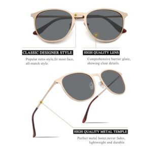 Classic Round Retro Sunglasses UV400 Circle Lens Metal Frame Men Women (2 Pairs(D2 Gold/Gray + C7 Black/Gray)) 50%OFF