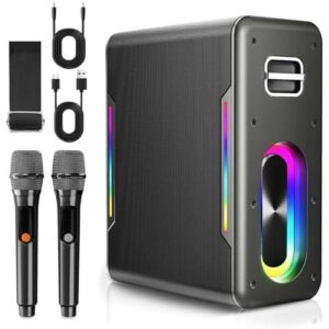 卡拉OK机(双无线麦/蓝牙便携/DSP芯片/LED灯/TF卡USB/黑色) 70%OFF