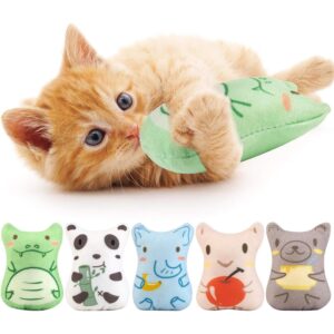 Dorakitten 室内猫咪玩具——5件套毛绒猫咬咬玩具，互动猫薄荷填充小猫玩具软宠物玩具 -50%