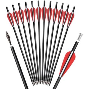 Crossbow Bolts Arrows Fiberglass 12 Inch Hunting Archery Outdoor Arrow with Replaced 100 Grain Tips Flat Nocks (Pack of 12) -50%
