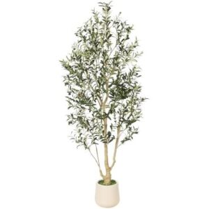 6英尺仿真橄榄树(带花盆/办公客厅装饰) 50%OFF