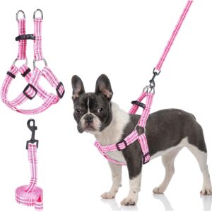 BEAUTYZOO 无拉小型犬背带和牵引绳套装  -50%
