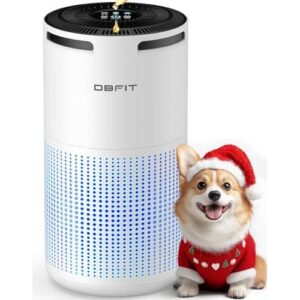 DBFIT H13 HEPA/1500ft²香薰便携净化器 50%OFF