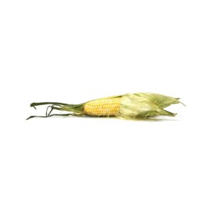 玉米   84%OFF