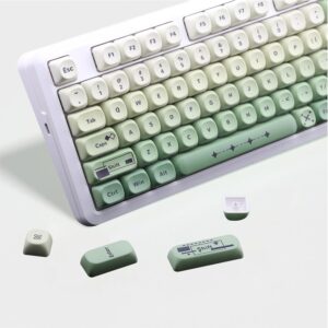 AKepopery MOA键帽 134键 PBT键帽套装 Cherry Gateron MX轴机械键盘键帽（渐变绿色） -50%