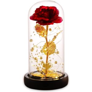 Mothers Day Forever Preserved Flower Rose Gifts for Mom, Beauty and the Beast Rose, Birthday Gifts for Women, Eternal Rose in Glass Dome, Blessing Valentine Flowers Gift for Mother Wife -37%