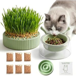 三合一猫草种植喂食套装 (无转基因种子防溅罩) 40%OFF