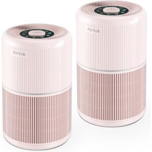 2 件装家庭卧室空气净化器 带 H13 True HEPA 过滤器 -40%