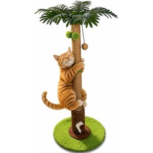 RPZ猫抓柱，剑麻抓板和室内猫玩具 -50%
