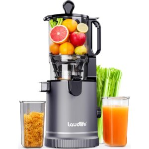 Laudlife 冷压榨汁机 带 5.9 英寸宽进料槽 集成 100 盎司容量料斗和过滤器设计 -50%