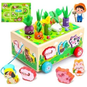 Montessori Toys/木制农场形状分类玩具 54%OFF